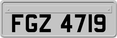FGZ4719