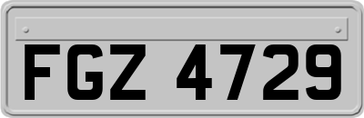 FGZ4729