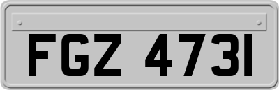 FGZ4731