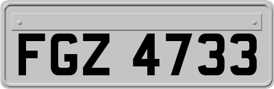FGZ4733