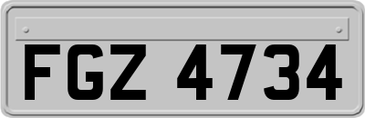 FGZ4734