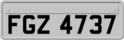 FGZ4737