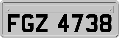 FGZ4738