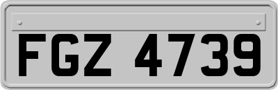 FGZ4739