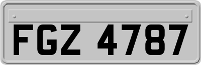 FGZ4787