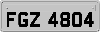 FGZ4804