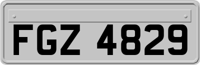 FGZ4829