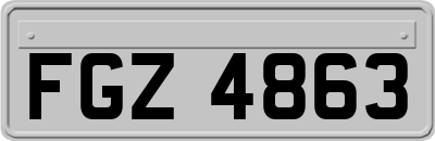 FGZ4863