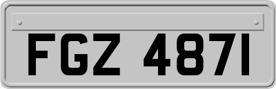 FGZ4871