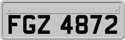 FGZ4872