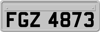 FGZ4873