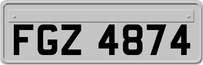 FGZ4874