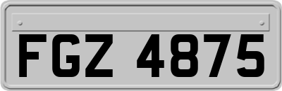 FGZ4875