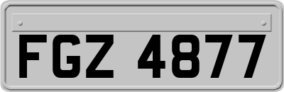 FGZ4877