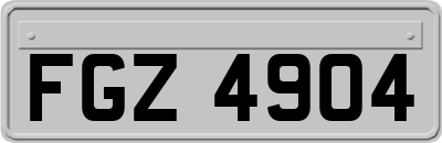 FGZ4904