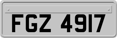 FGZ4917