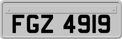 FGZ4919