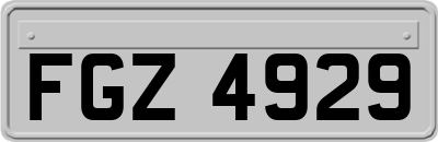 FGZ4929