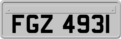 FGZ4931