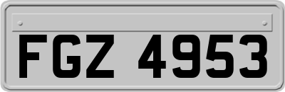 FGZ4953
