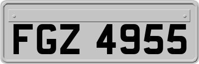 FGZ4955