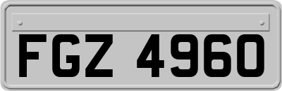 FGZ4960