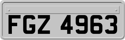 FGZ4963