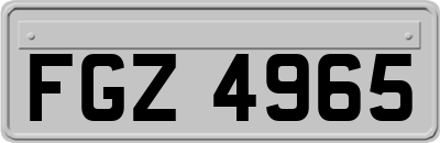 FGZ4965