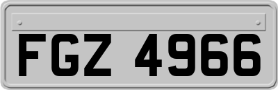 FGZ4966