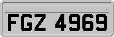 FGZ4969