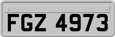 FGZ4973