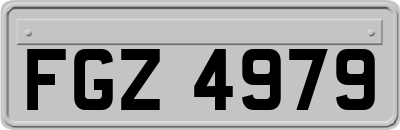 FGZ4979