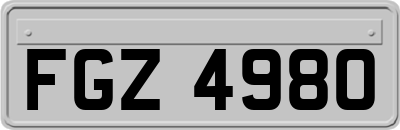 FGZ4980