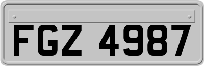 FGZ4987