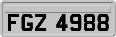FGZ4988