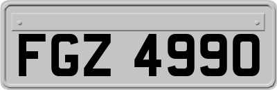 FGZ4990