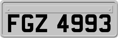 FGZ4993