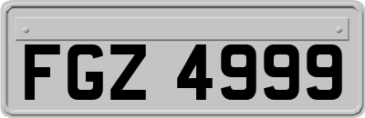 FGZ4999