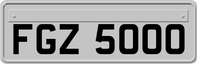 FGZ5000