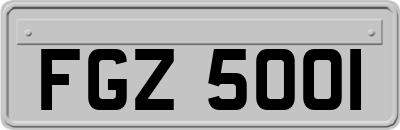 FGZ5001
