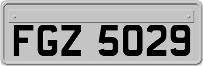 FGZ5029