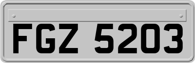 FGZ5203