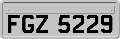 FGZ5229