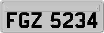 FGZ5234