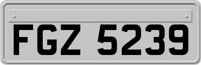 FGZ5239