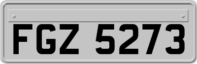 FGZ5273