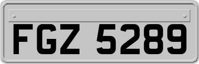 FGZ5289