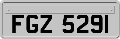 FGZ5291