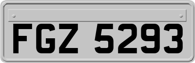 FGZ5293