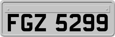 FGZ5299
